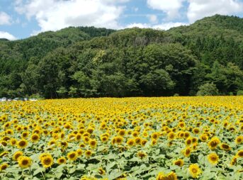 おかめの岩手日記