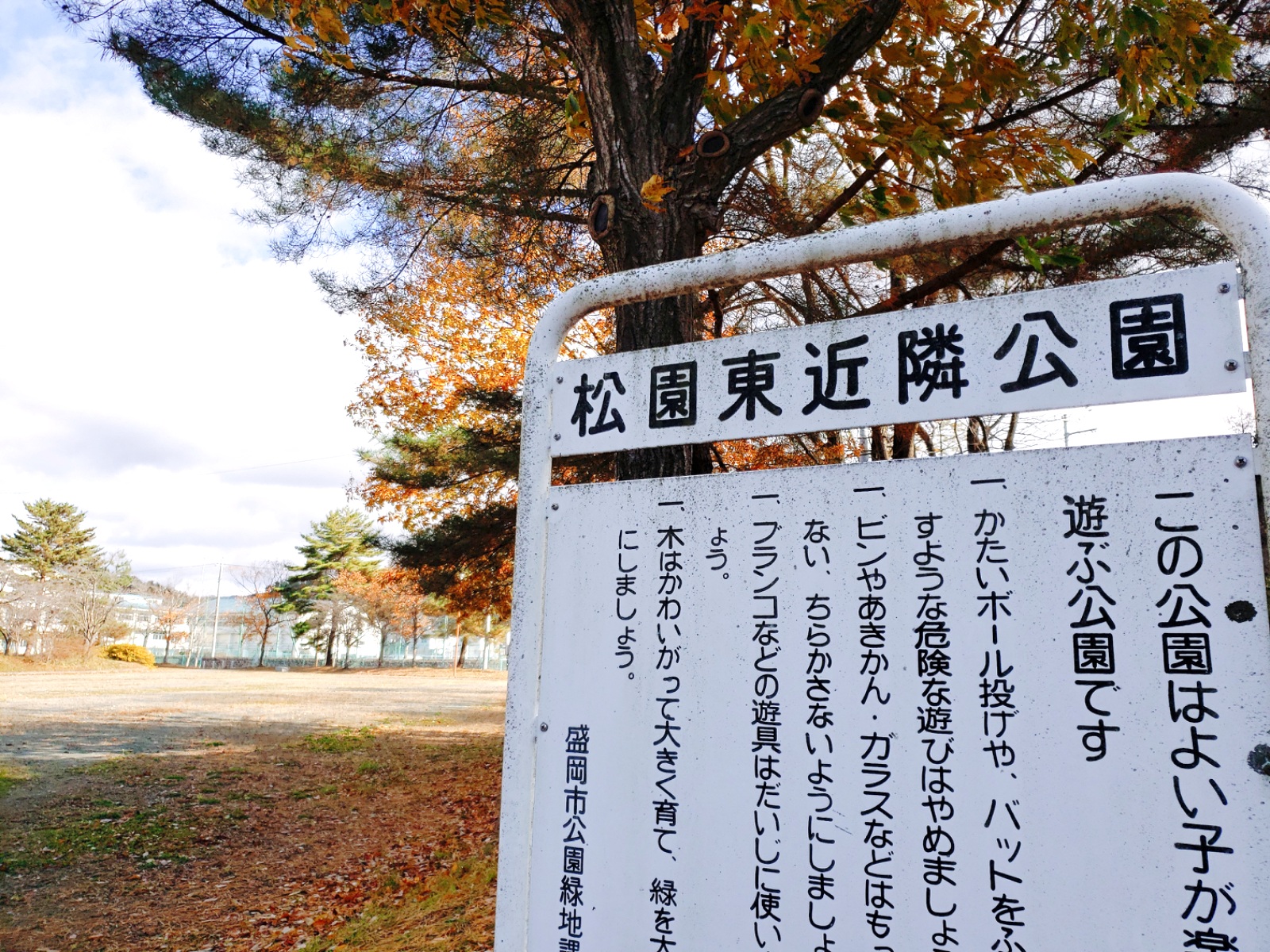 岩手に転勤が決まったら見るブログ おかめの岩手日記